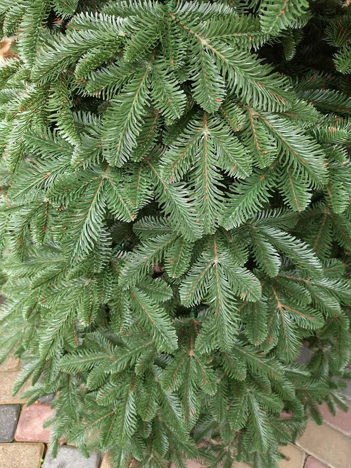 Штучна ялинка лита Канадська з підставкою 2,30 м Темно-зелений (NYT15306) - фото 12 Штучна ялинка лита Канадська з підставкою 2,30 м Темно-зелений (NYT15306) - фото 12