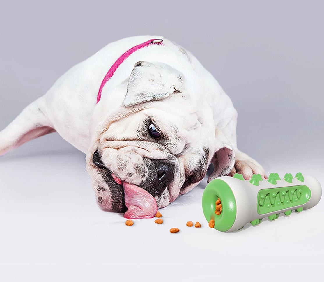 Іграшка для чищення зубів для собак 11507 15х5х4,2 см Зелений (4570276) - фото 4 Іграшка для чищення зубів для собак 11507 15х5х4,2 см Зелений (4570276) - фото 4