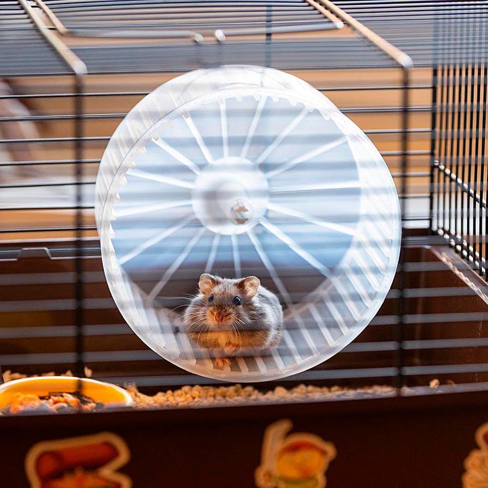 Клетка для хомяков с наклейками Пираты CRICETI 9 PIRATES 46x29,5xh 23 см (A-037362) - фото 7 Клетка для хомяков с наклейками Пираты CRICETI 9 PIRATES 46x29,5xh 23 см (A-037362) - фото 7