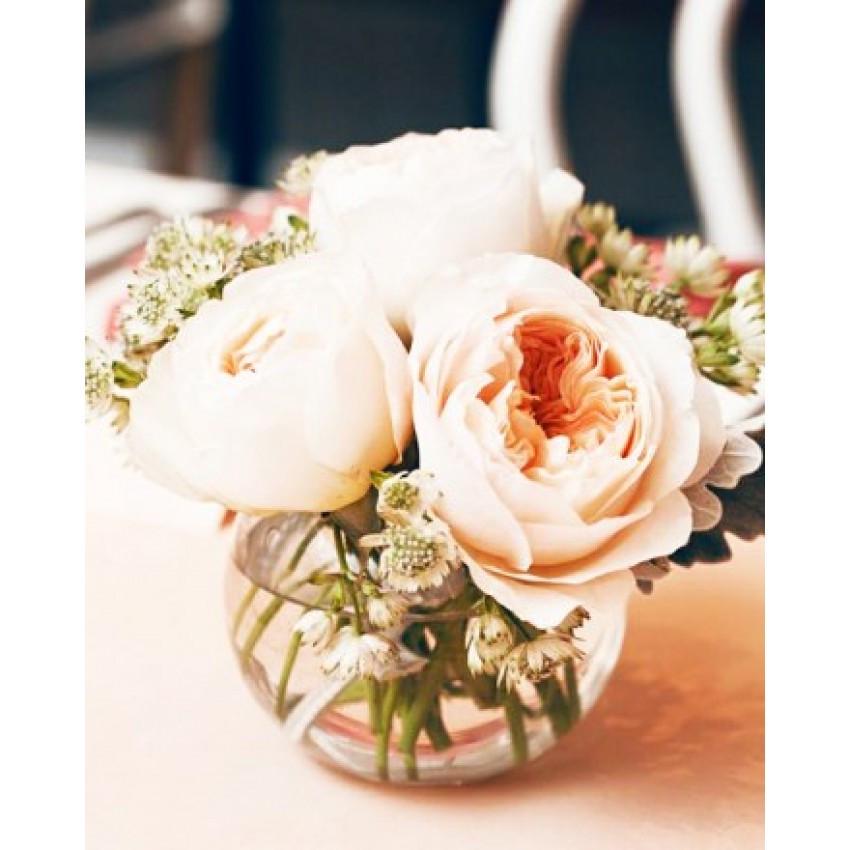 Ваза-шар Mazhura Aquarium X-017 d 12 см 9,5 см (1403128260) - фото 2 Ваза-шар Mazhura Aquarium X-017 d 12 см 9,5 см (1403128260) - фото 2