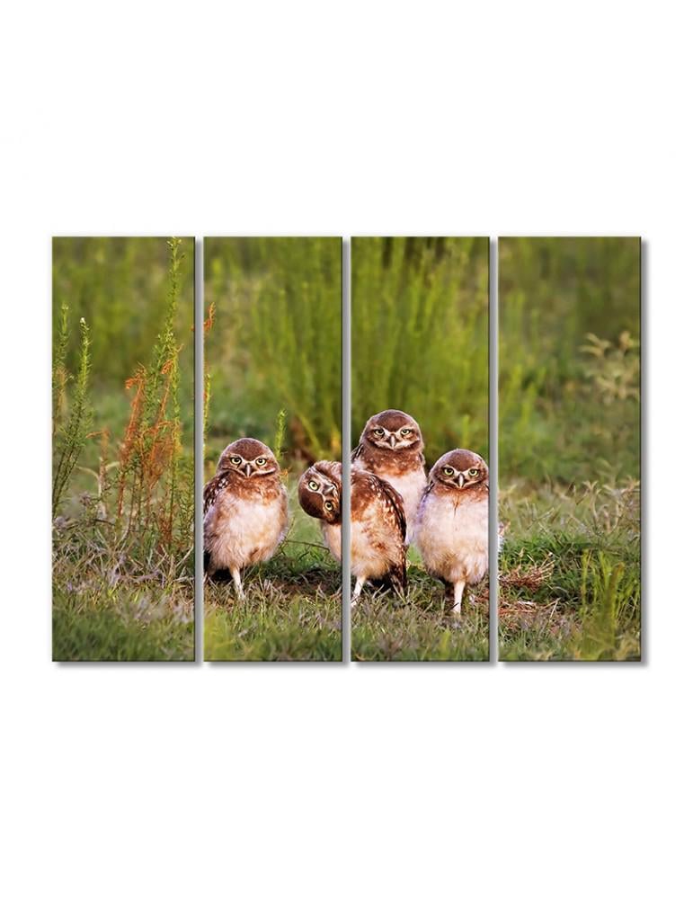 Картина модульная Птицы дикой природы 4 модуля 80x120 см (191432Pticy_i_nasekomye)