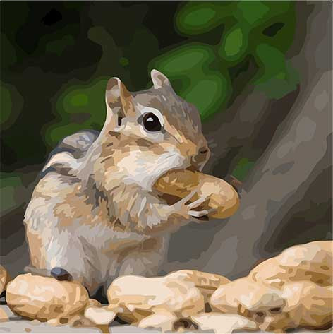 Картина по номерам Art Craft Крошка бурундук 40х40 см (11610-AC)