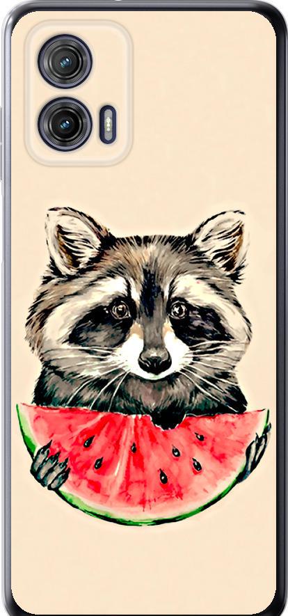 Чехол на Motorola G73 Енотик с арбузом (4605u-3196-42517)