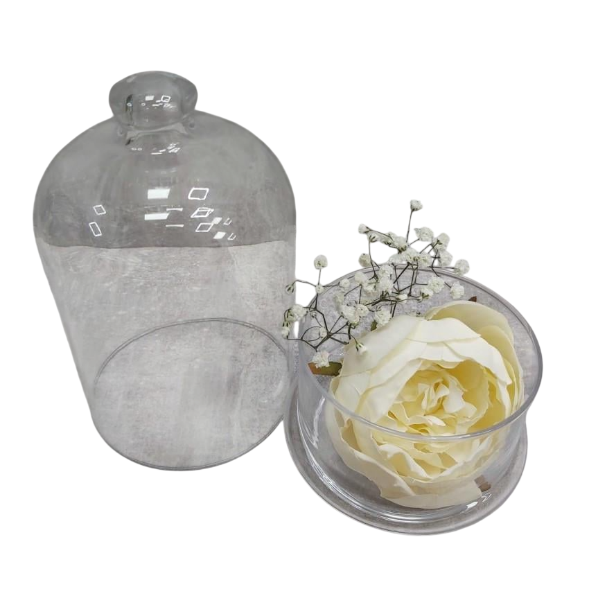 Ємність з кришкою Pasabahce 505 мл (96889)