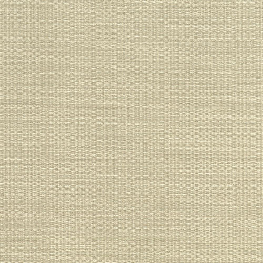 Обои виниловые на флизелиновой основе Sirpi Alta Gamma Home 3 (24921)