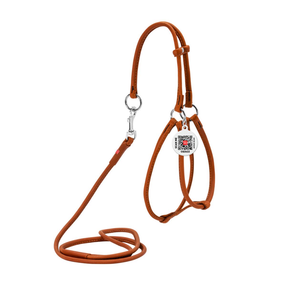 Шлея с поводком для собак Waudog Soft с QR паспортом/круглая/кожаная 6 мм х 42-60 см х 46-64 см Коричневый (46206 Col) Шлея с поводком для собак Waudog Soft с QR паспортом/круглая/кожаная 6 мм х 42-60 см х 46-64 см Коричневый (46206 Col)