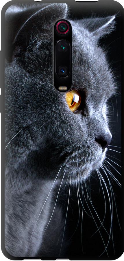 Чехол на Xiaomi Mi 9T Красивый кот (3038b-1815-42517)