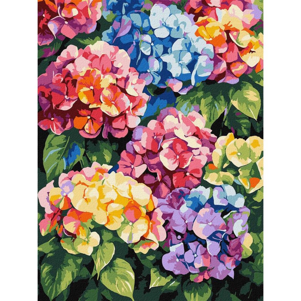 Картина за номерами Ideyka Різнокольорові гортензії KHO3299 30х40 см (RLT54087)