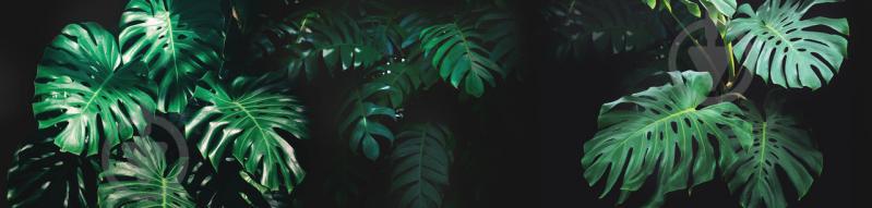 Наклейки кухонный фартук  Zatarga  " Листья Монстеры " 600х3000 мм Зеленый (Z180254/2)