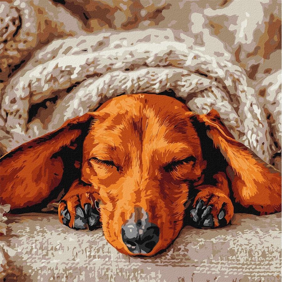 Картина по номерам Ideyka Сладкое спокойствие 40x40 см (KHO6840)