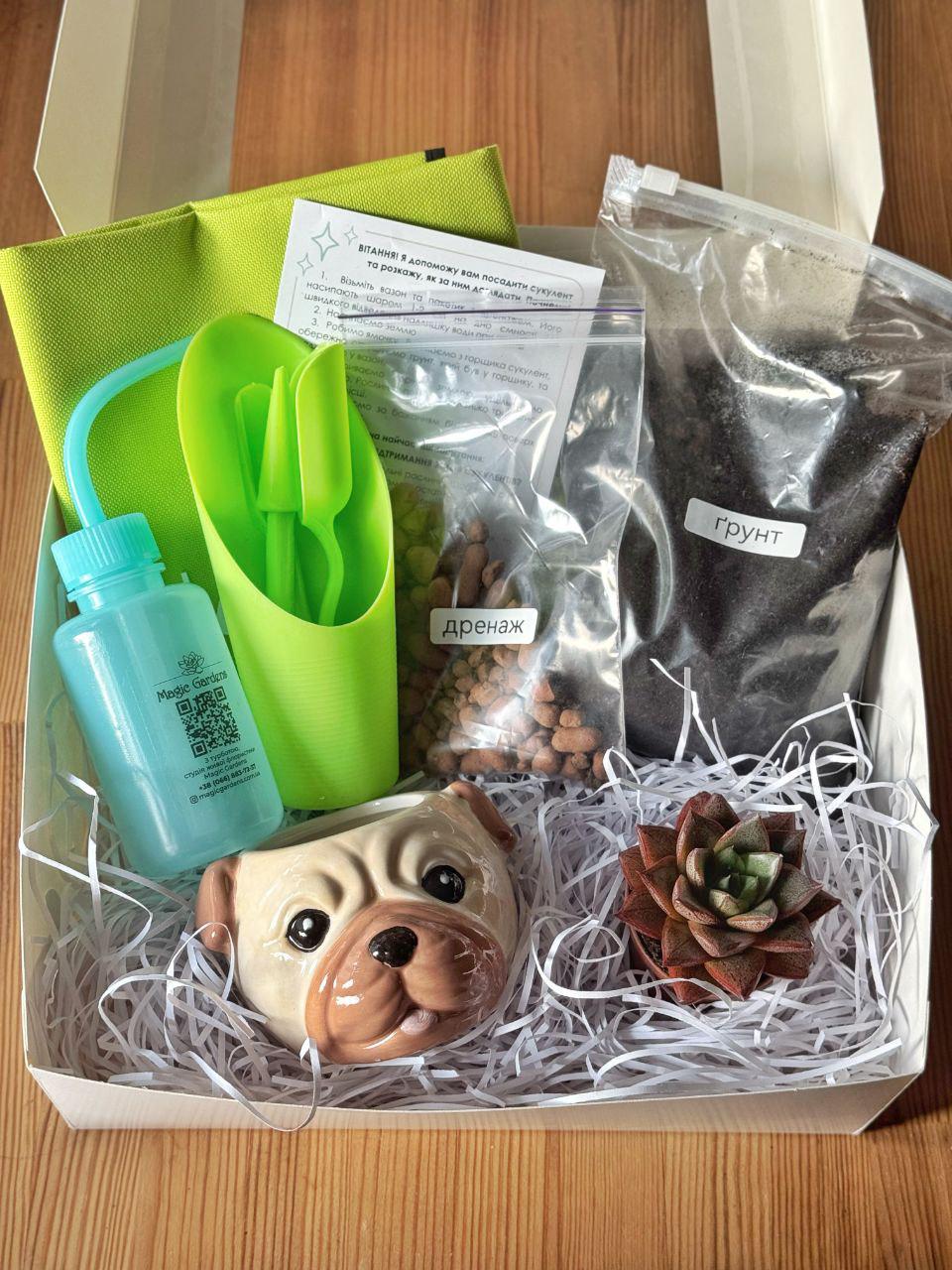 Набір Посади сам Милий мопс