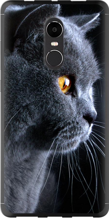 Чехол на Xiaomi Redmi Note 4X Красивый кот (3038t-951-42517) Чехол на Xiaomi Redmi Note 4X Красивый кот (3038t-951-42517)