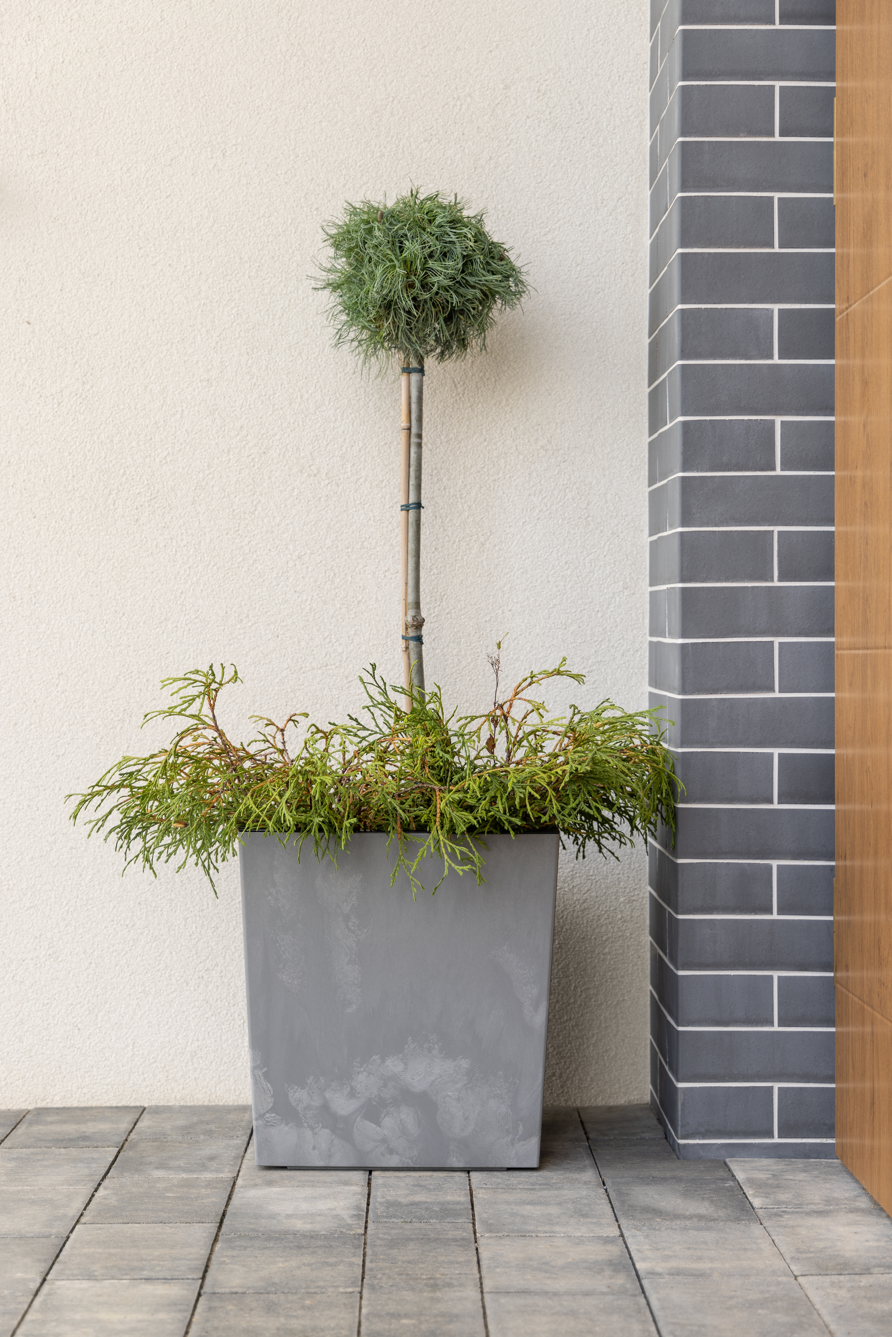 Кашпо Lamela Юка 11 л Сірий бетон (000006699) - фото 2 Кашпо Lamela Юка 11 л Сірий бетон (000006699) - фото 2