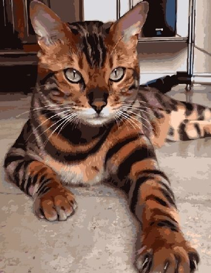 Картина по номерам Brushme Бенгальский кот (GX3801)