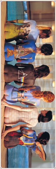 Постер плакат Pink Floyd Back Catalogue 53x158 см