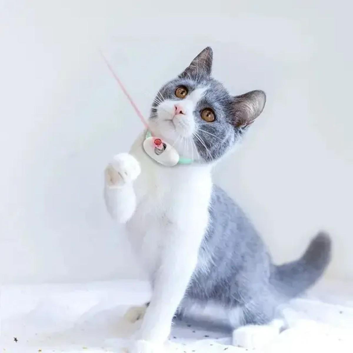 Ошейник лазерный для котов PetGravity - фото 4 Ошейник лазерный для котов PetGravity - фото 4