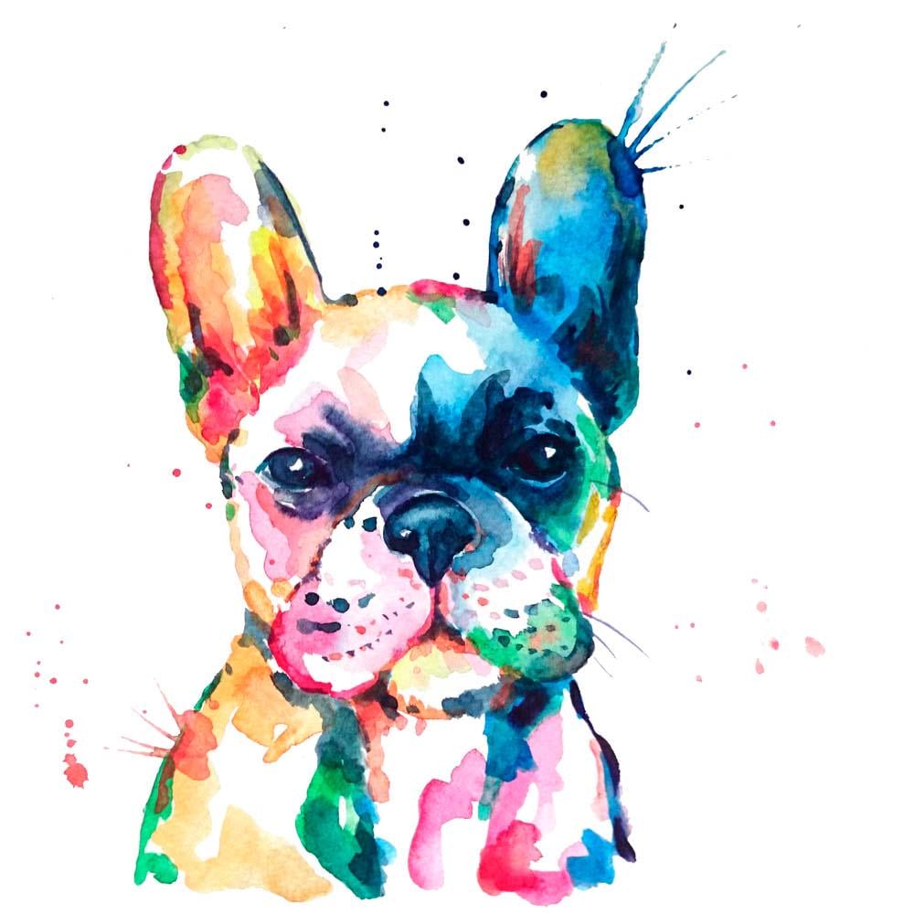 Фотообои Artside Французский бульдог 359915660