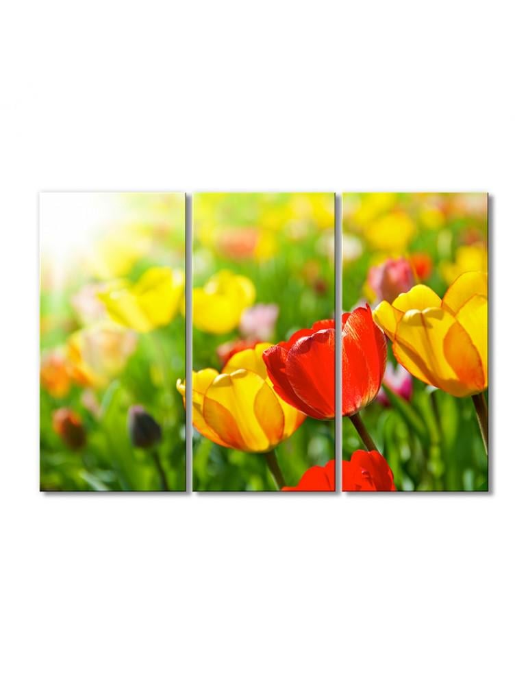 Картина модульная Полевые тюльпанчики 3 модуля 120x180 см