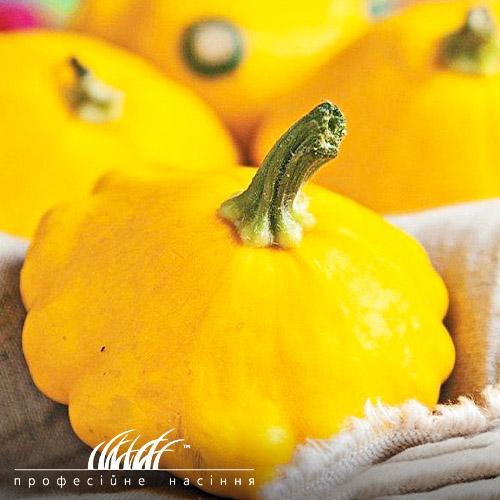 Семена Патіссон Florium Помаранчевий (11811)