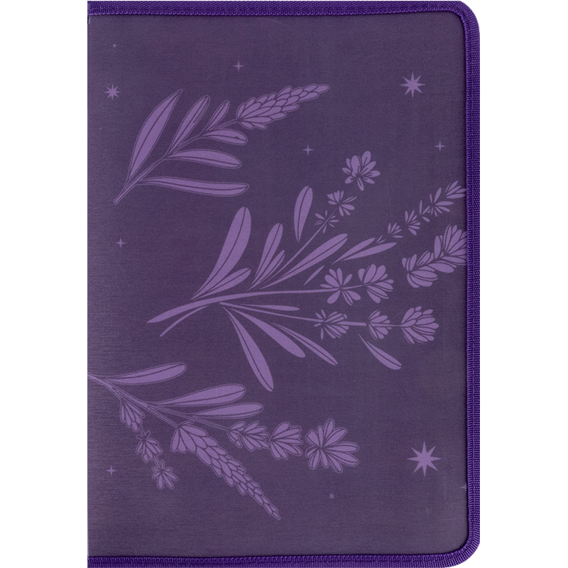 Папка объемная на молнии Axent А4+ Lavender-1 (1804-36-A)