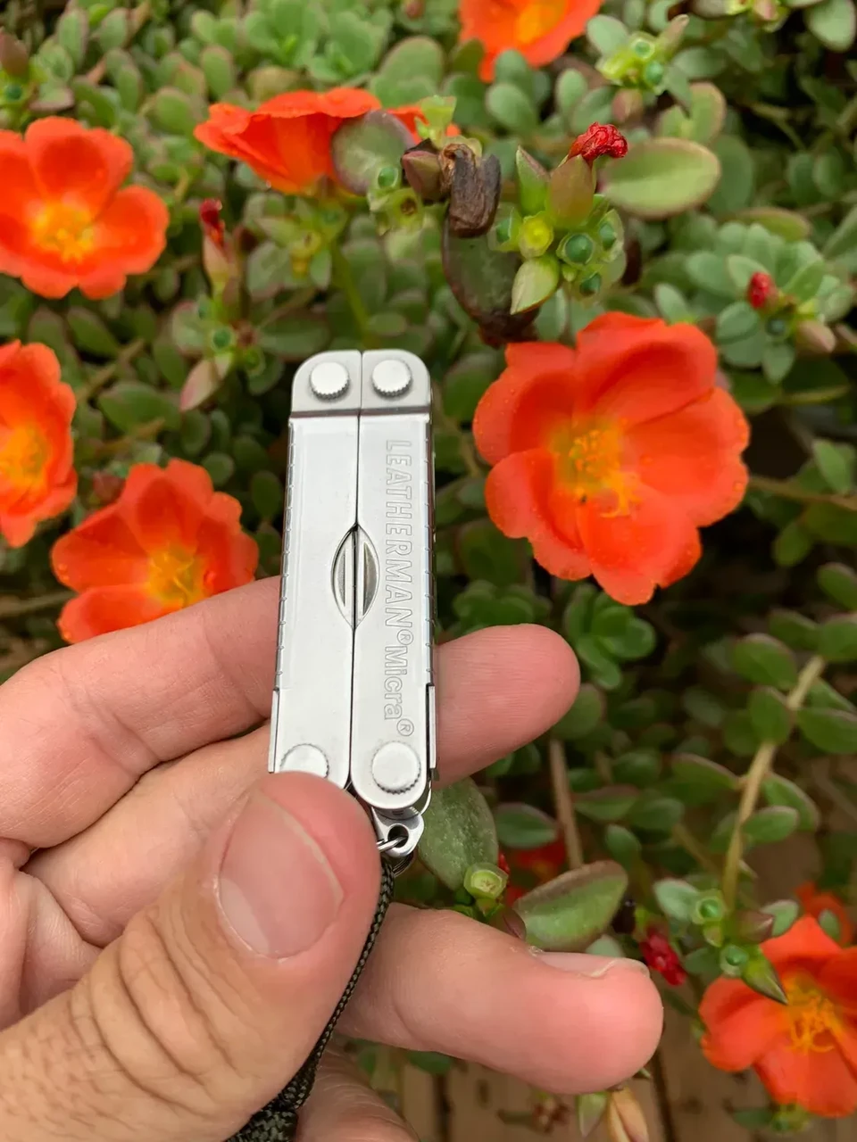 Мультитул Leatherman Micra (2552330536) - фото 3 Мультитул Leatherman Micra (2552330536) - фото 3