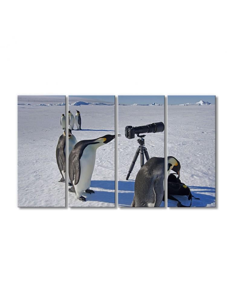 Картина модульная Пингвины в Антарктиде 4 модуля 90x135 см