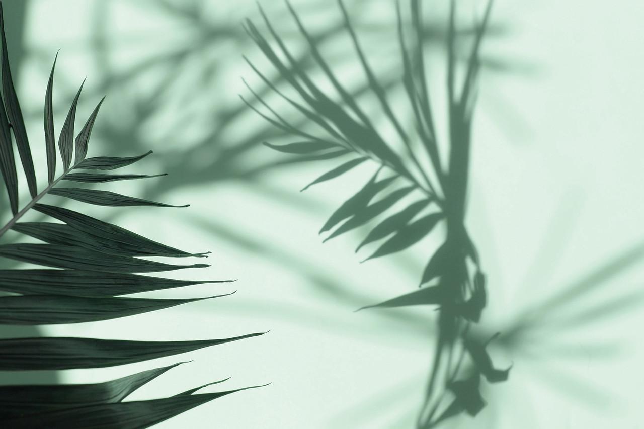 Фотофон виниловый Frontlit 90x60 см 450 г/м2 №56610