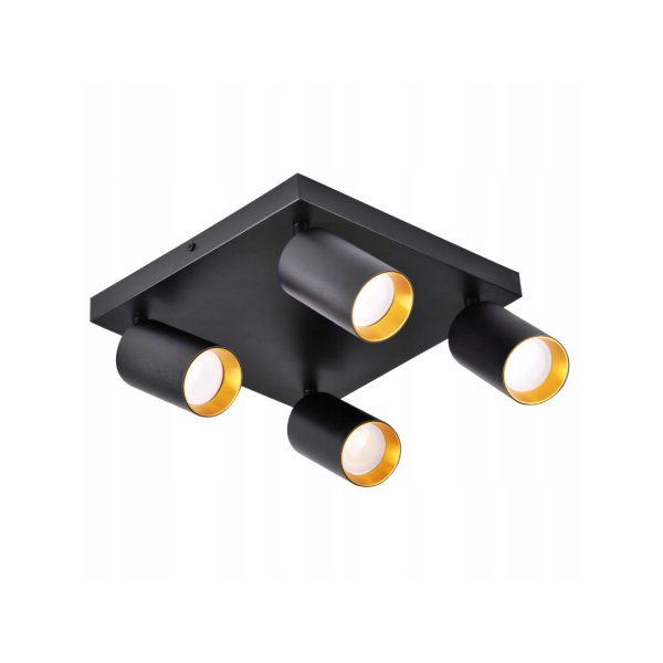 Світильник настінно-стельовий Polux Maribel (319944)