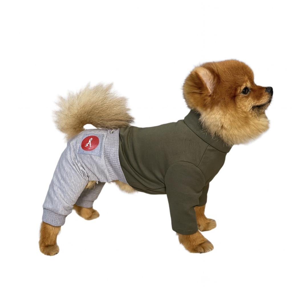 Костюм для собак Diego S Хакі/Сірий (221)