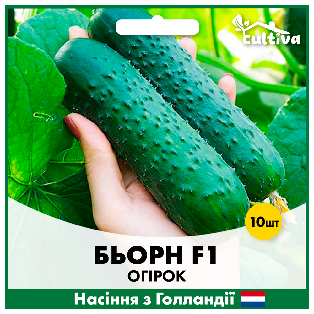 Семена огурца Enza Zaden Берн F1 10 шт. (O5)