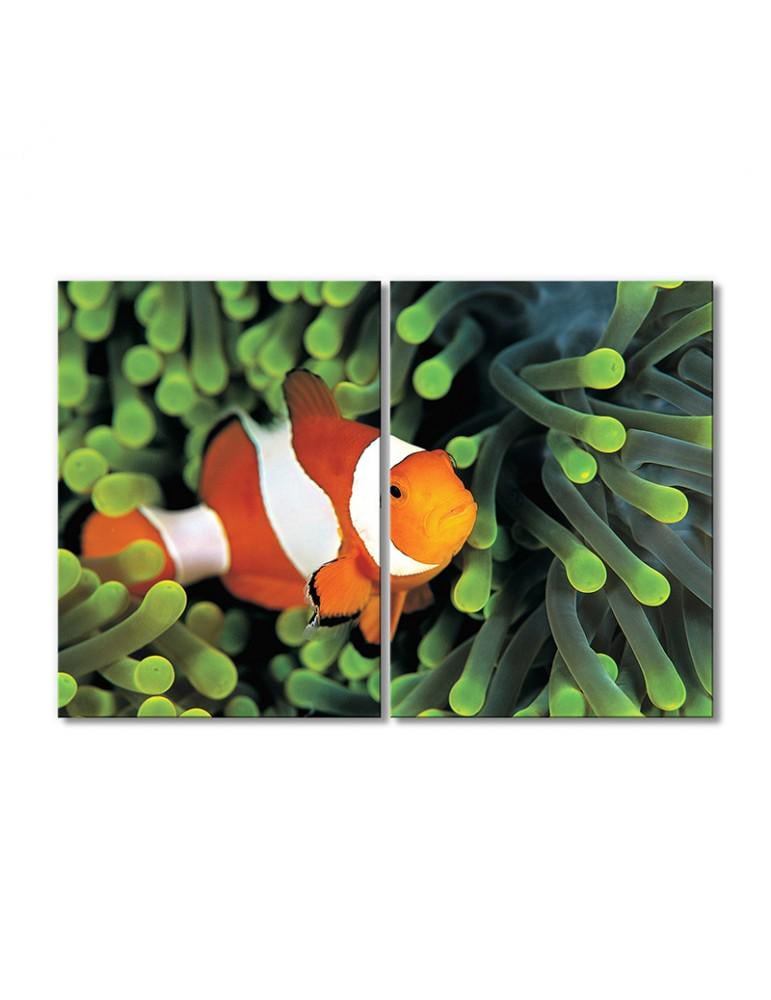 Картина модульная Рыба-клоун 2 модуля 90x135 см