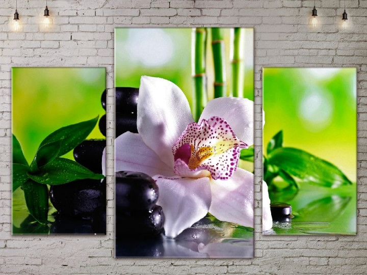 Картина модульная ArtStar ADFL0109 120х180 см 3 части