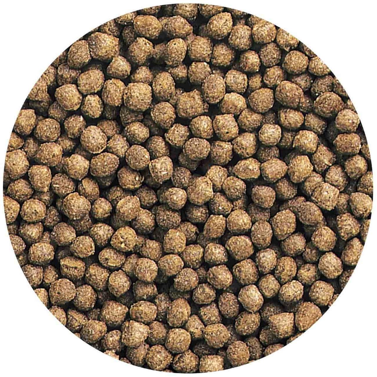 Корм Hikari Oranda Gold Mini для премиум золотых рыб 8+ см с наростами на голове 2,7-3,0 мм/100 г плавающий (05620) - фото 2 Корм Hikari Oranda Gold Mini для премиум золотых рыб 8+ см с наростами на голове 2,7-3,0 мм/100 г плавающий (05620) - фото 2