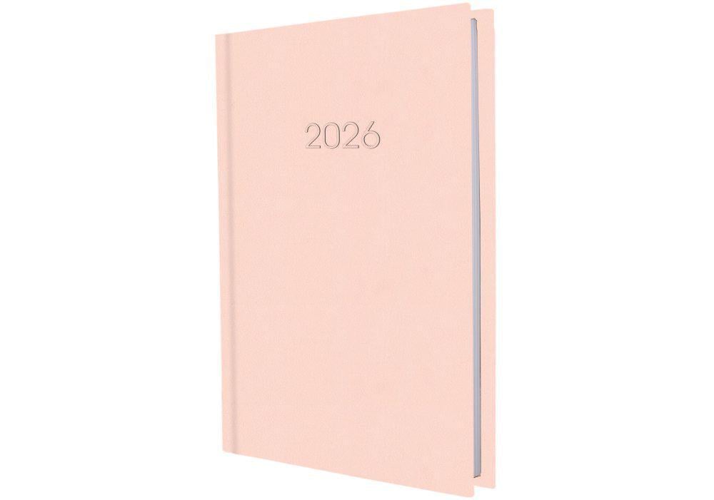 Дневник датированный 2026 Economix Confetti A5 336 стр. Розовый (E21613-09)