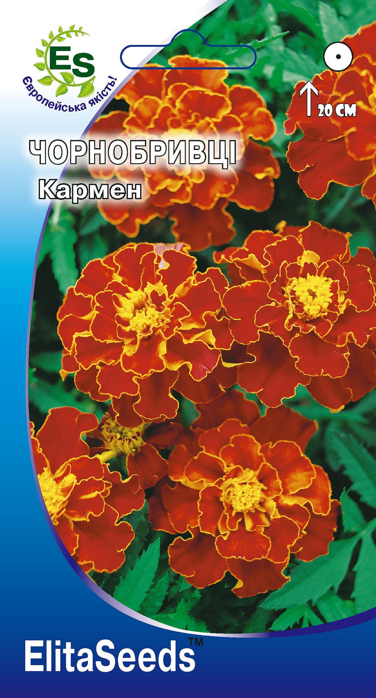 Насіння Чорнобривці Кармен (0,5г.) - фото 1 Насіння Чорнобривці Кармен (0,5г.) - фото 1