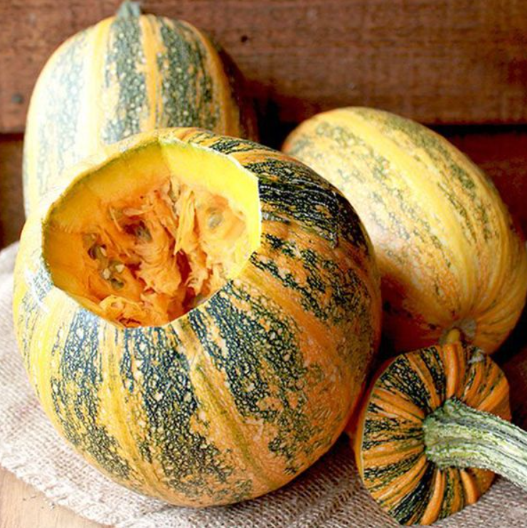 Семена Тыква Многоплодная ТМ Агроном ТД Гекса-Украина 01-27-005 20 шт. (IR02435)