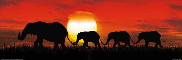 Постер плакат Слоны На Закате/Sunset Elephants 30x91,5 см