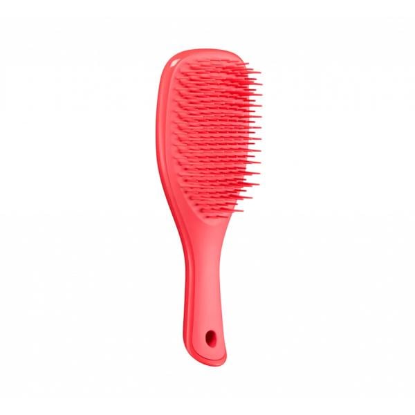 Гребінець міні Tangle Teezer The Wet Detangler Mini Pink Punch (1815474704)