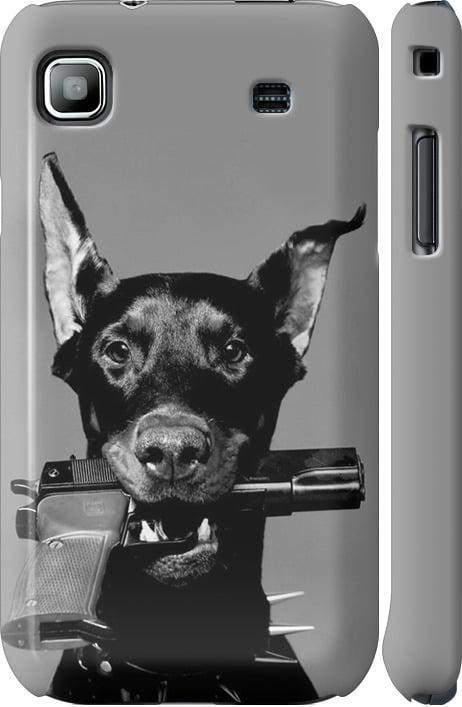 Чехол на Samsung Galaxy S i9000 Доберман (2745m-77-42517)