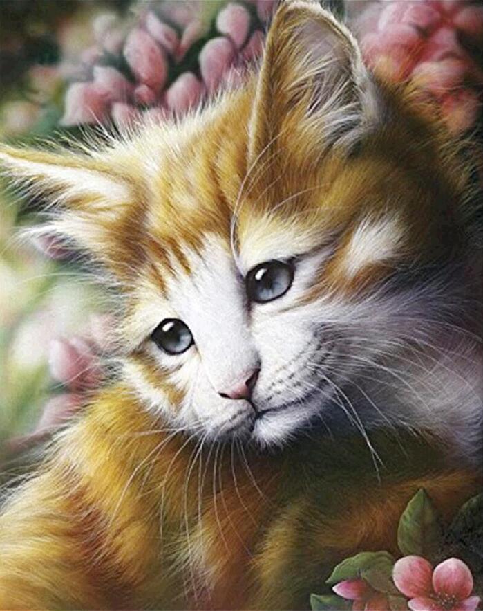 Алмазная Мозаика Emerald Craft Рыжий котенок 20x30 см (24670) Алмазная Мозаика Emerald Craft Рыжий котенок 20x30 см (24670)
