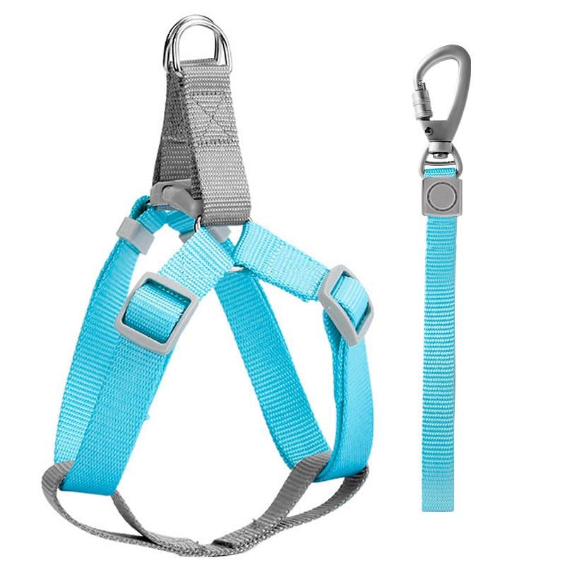 Шлея для собак і кішок з повідцем Taotaopets 171120 Blue L (2.0 cm)