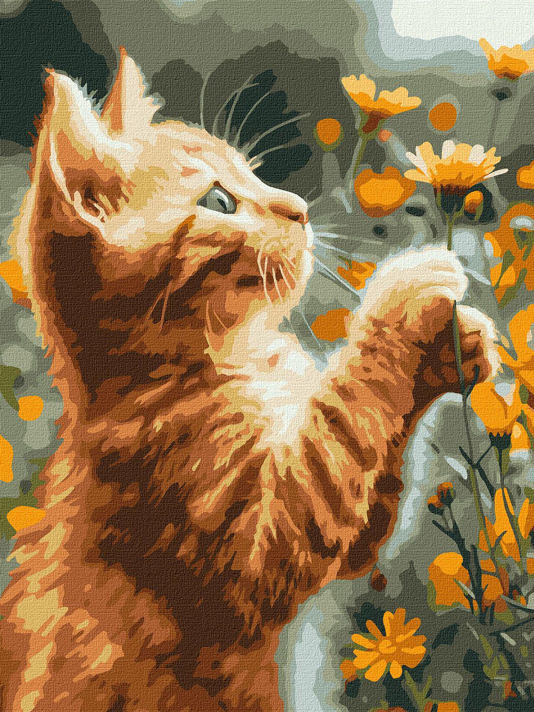 Набір для розпису по номерах Ideyka Рудий пухнастик КНО6607 30x40 см (MTT-182178)