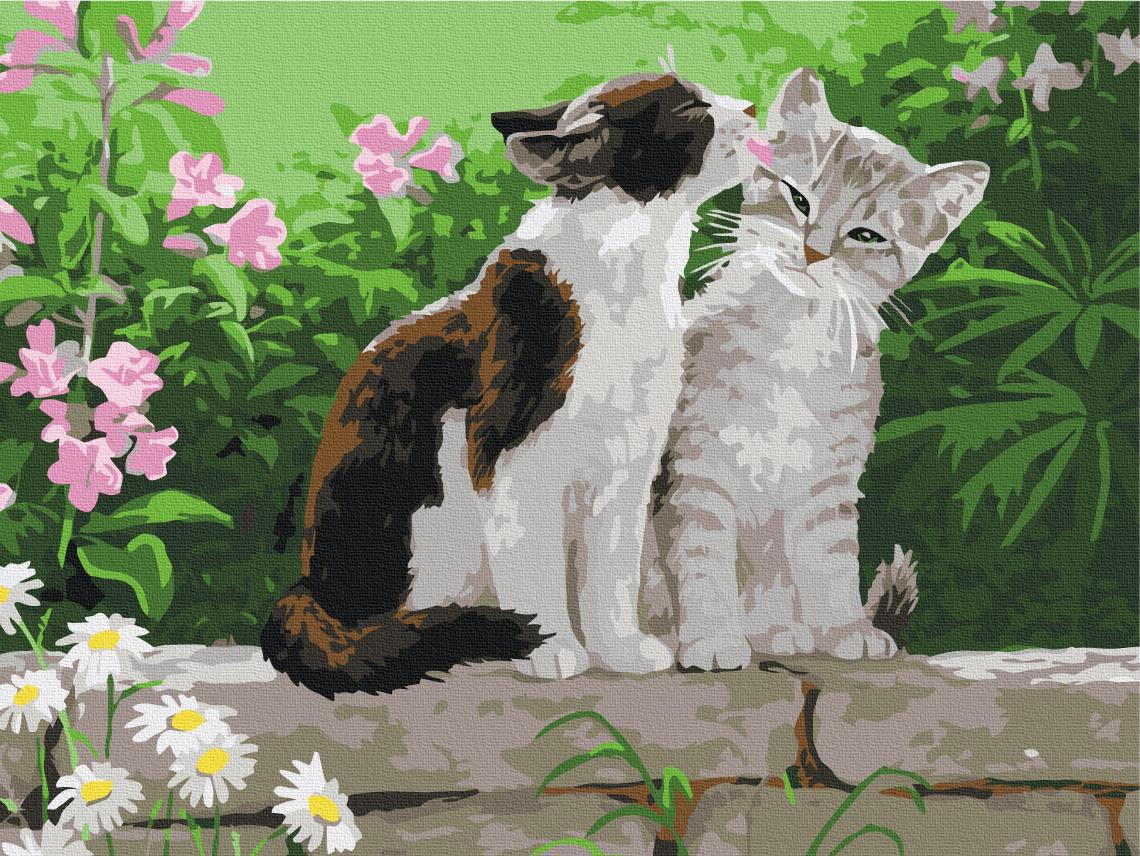 Картина по номерам Brushme Пара котят 30x40 см (RBS3251)