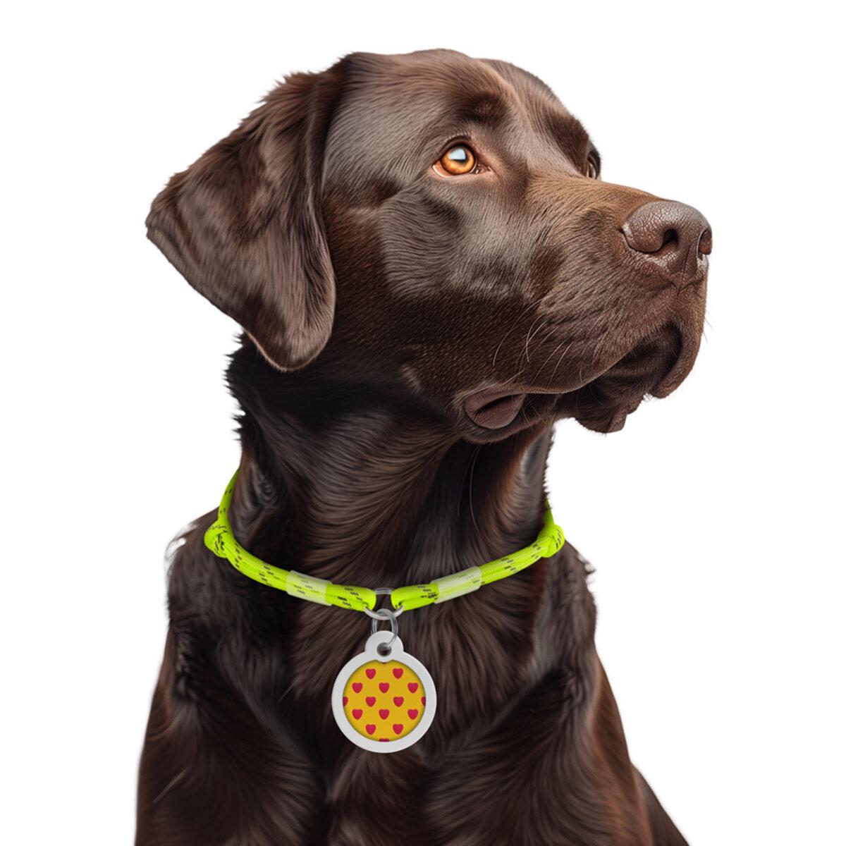 Шнурок для адресника из паракорда Waudog Smart ID светоотражающий М D 4 мм 42-76 см Желтый (60398 Col)