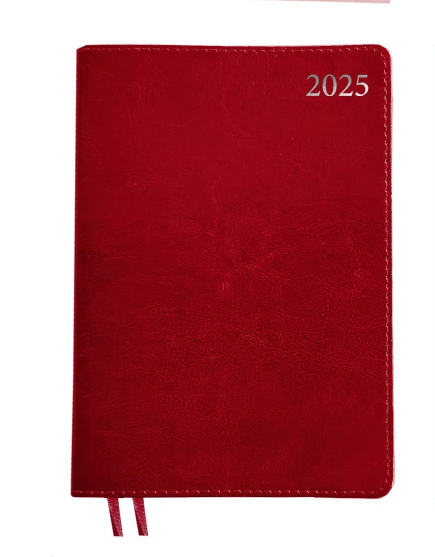 Ежедневник Leo Planner Aldento датированный/2025 год А5 368 стр. (252537)