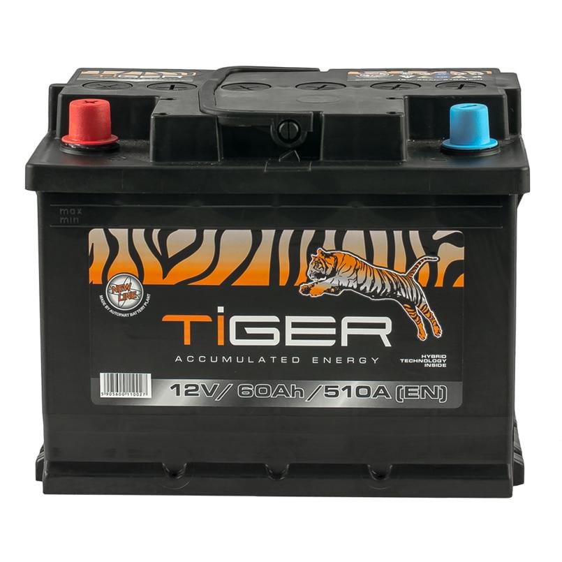 Аккумулятор Tiger 60 Ah/12V (AFS060-01)