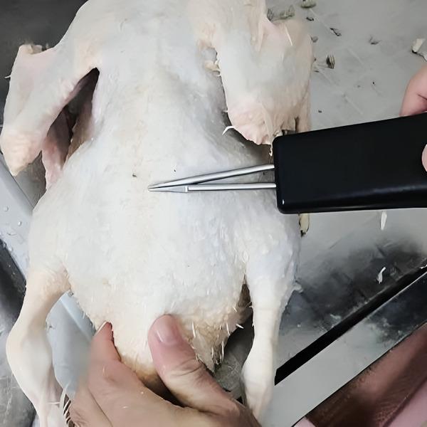 Пинцет электрический для удаления перьев (Y01910) - фото 5 Пинцет электрический для удаления перьев (Y01910) - фото 5