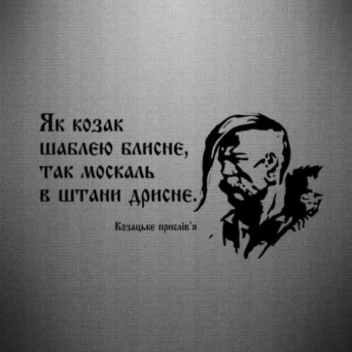 Наклейка "Як козак шаблею блисне, так москаль в штани дрисне" 50x25,7 см Чорний (21563189)