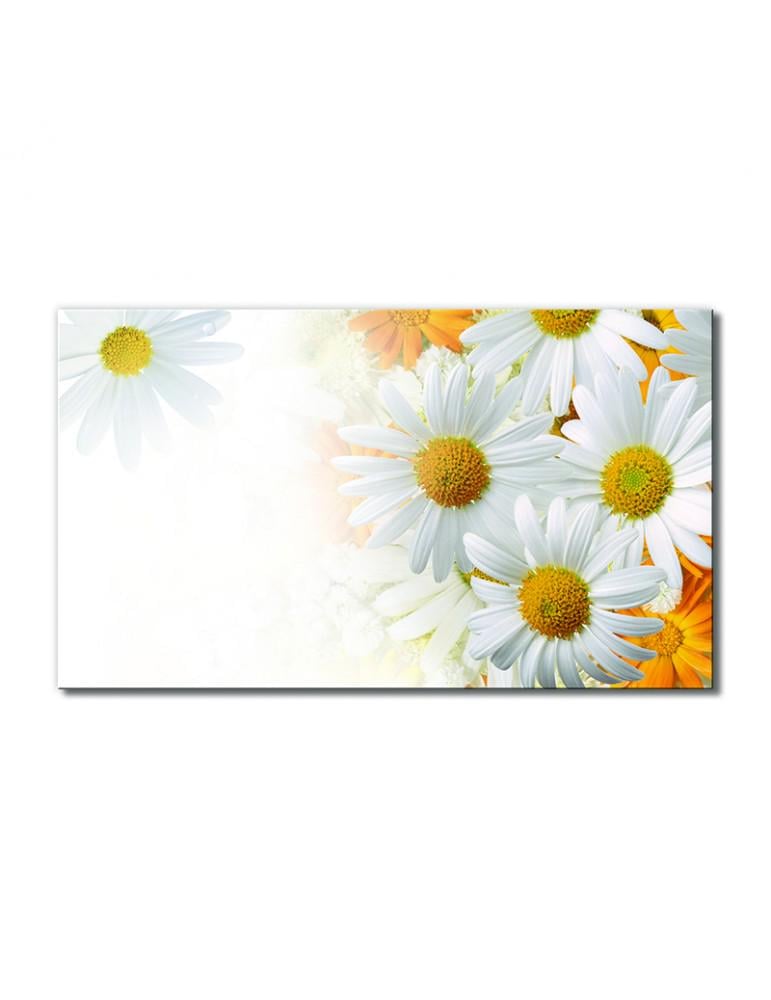 Картина модульная Ромашковое утро 1 модуль 40х60 см