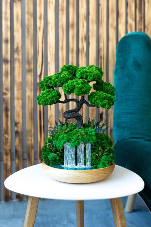 Бонсай над водоспадом зі стабілізованими рослинами 25х32 см